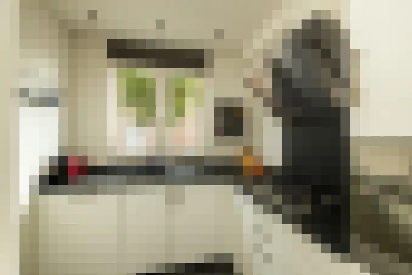 Aan de Botersloot 4 Ammerstol thumbnail 23