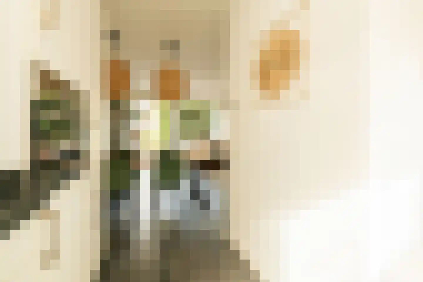 Aan de Botersloot 4 Ammerstol thumbnail 25