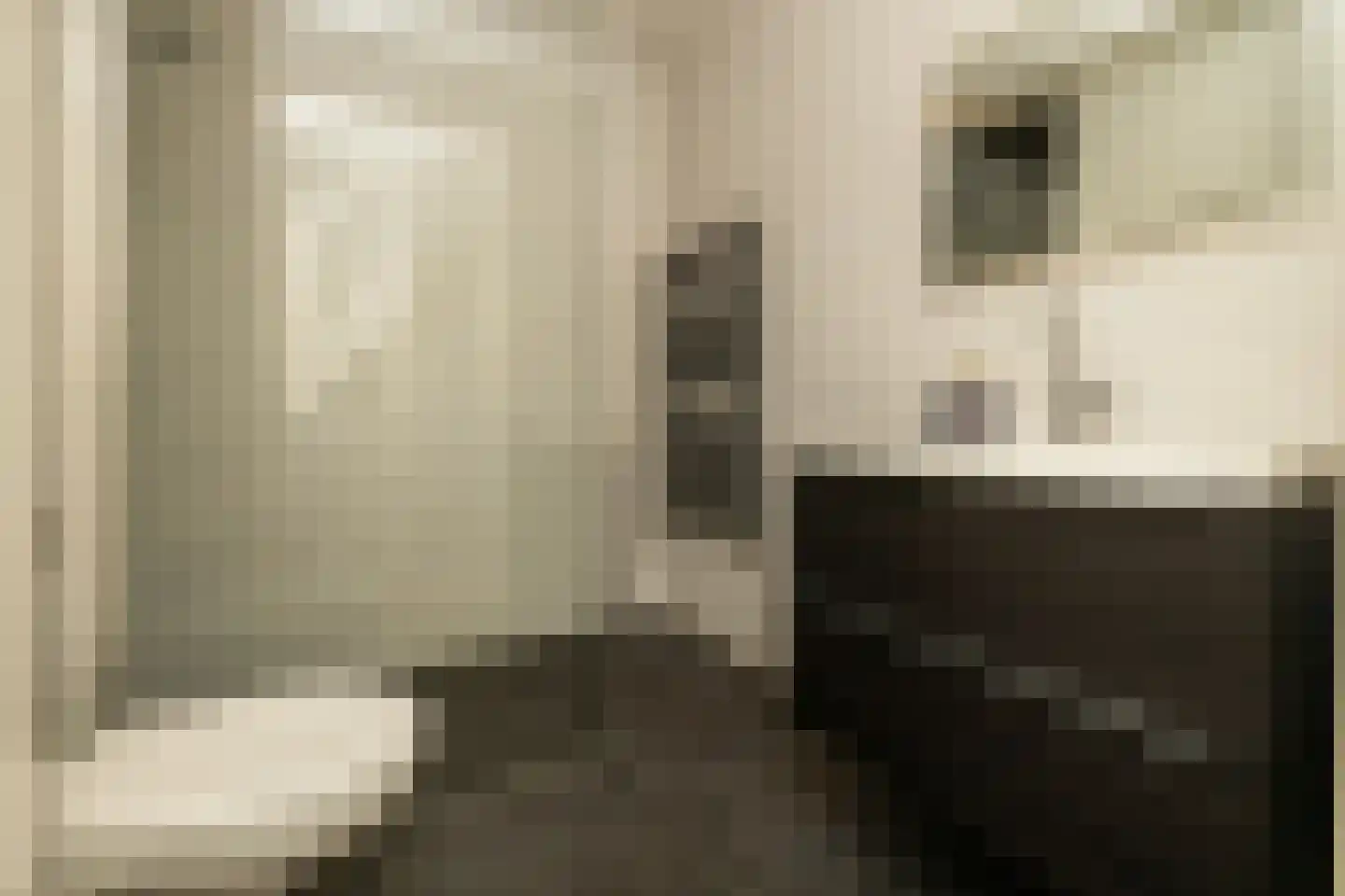 Aan de Botersloot 4 Ammerstol thumbnail 37