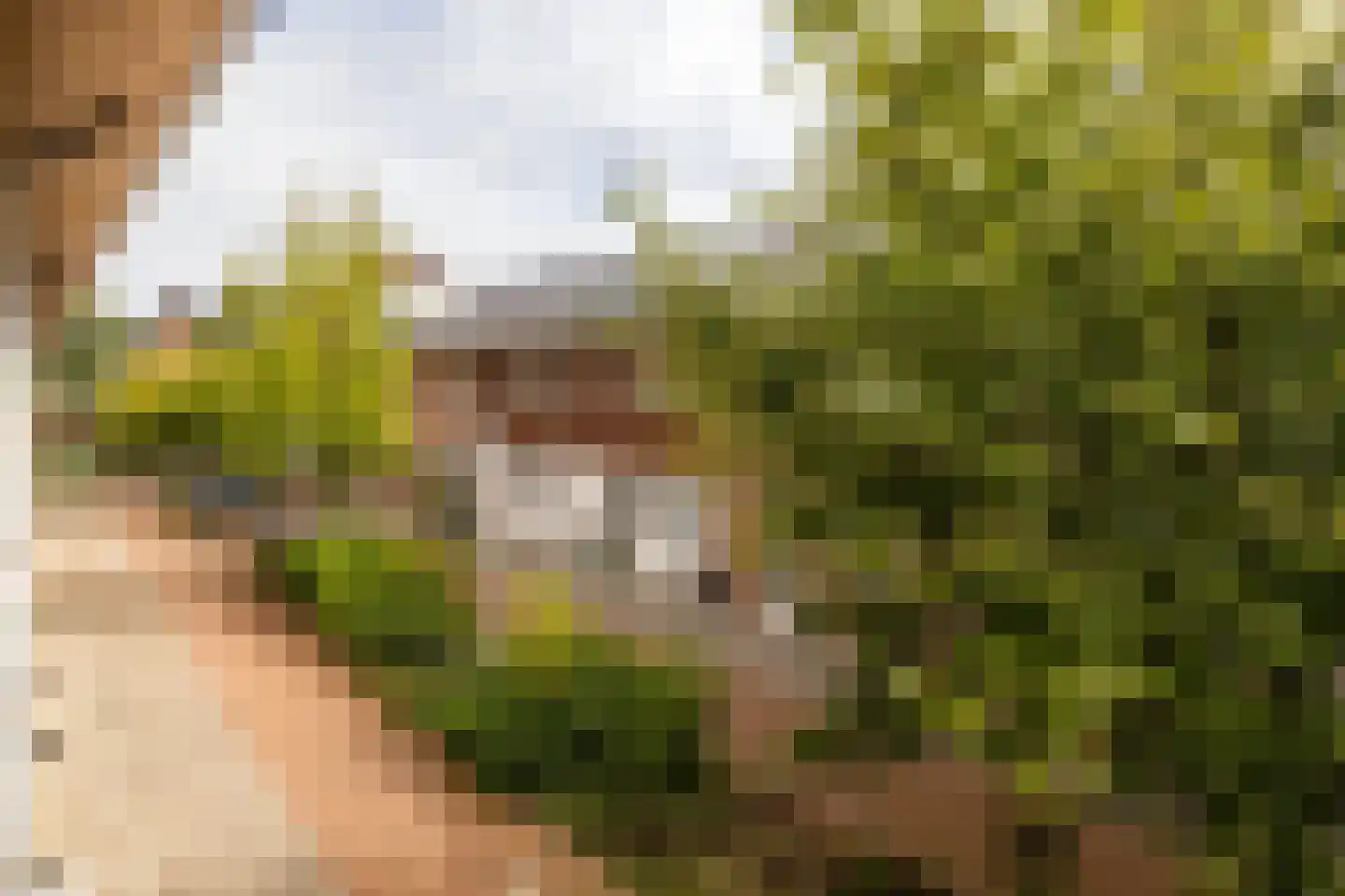 Aan de Botersloot 4 Ammerstol thumbnail 47