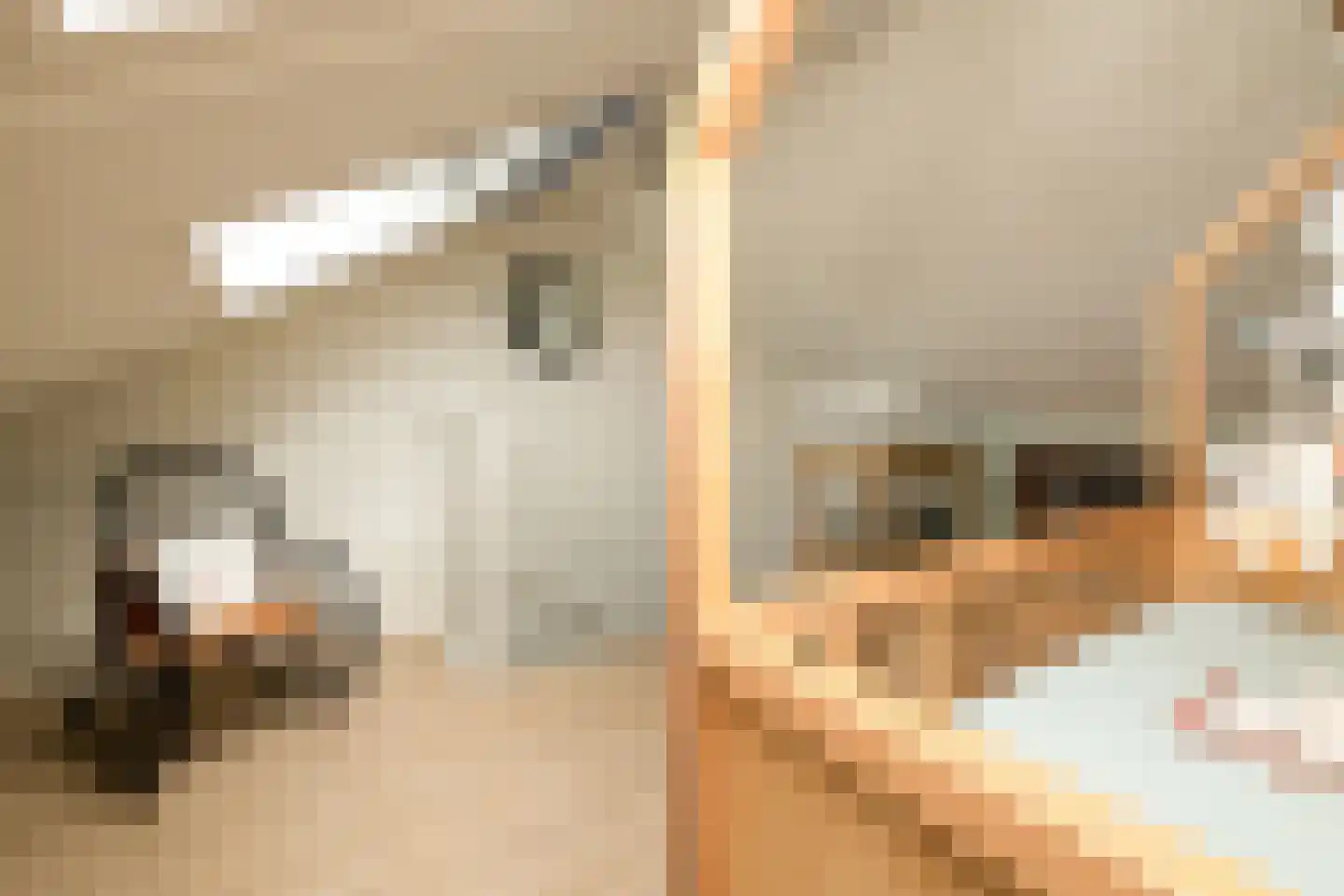 Aan de Botersloot 4 Ammerstol thumbnail 49