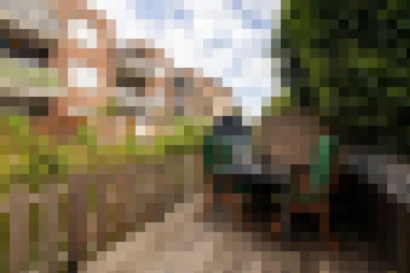 Aan de Botersloot 4 Ammerstol thumbnail 58
