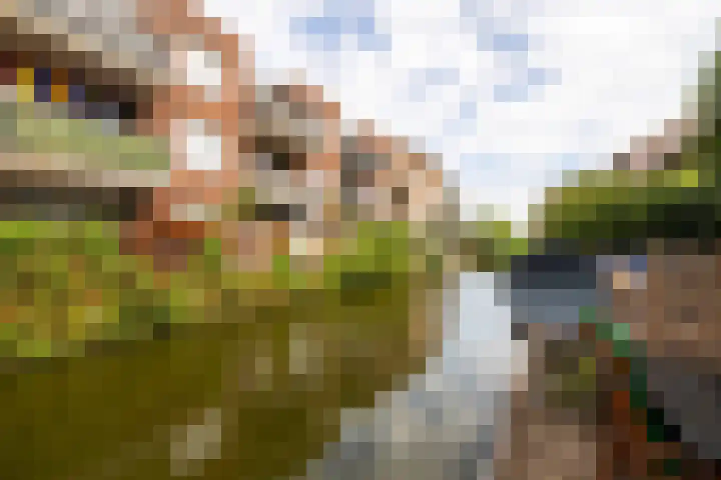 Aan de Botersloot 4 Ammerstol thumbnail 60