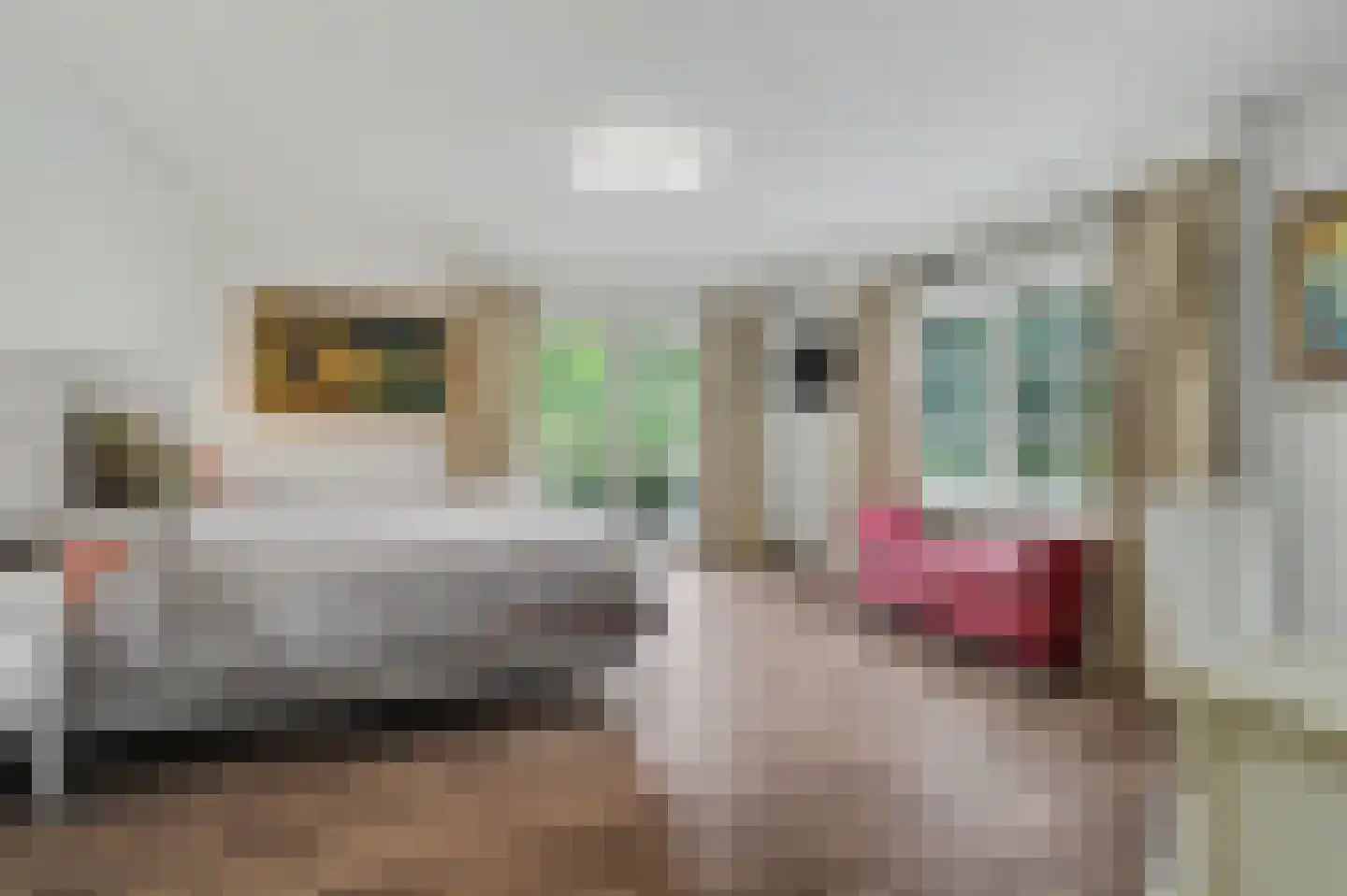 Aan de Bronnen 5 Venlo thumbnail 19