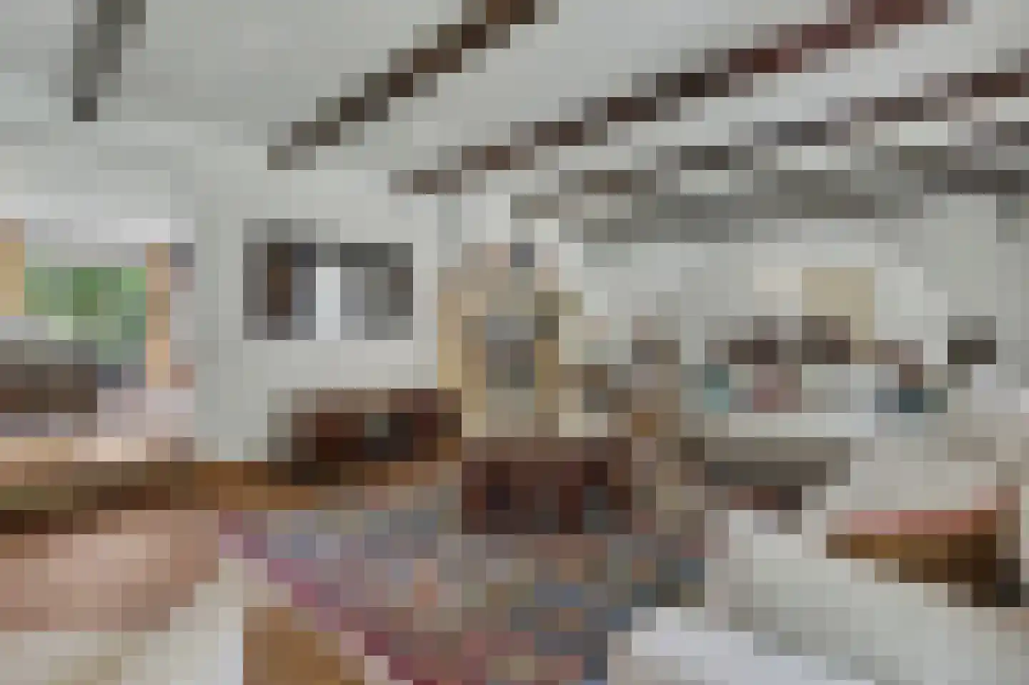 Aan de Bronnen 5 Venlo thumbnail 6