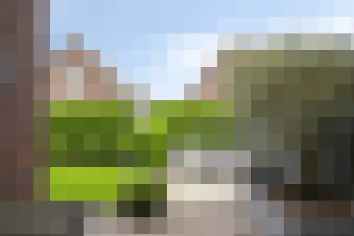 Aan de Capelle 4 Rijkevoort foto 2