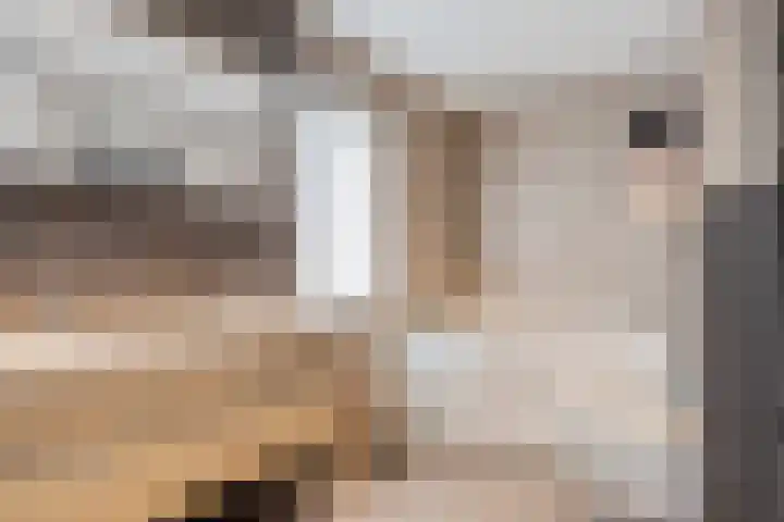Aan de Capelle 4 Rijkevoort thumbnail 25