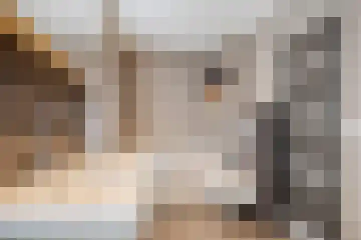Aan de Capelle 4 Rijkevoort thumbnail 26