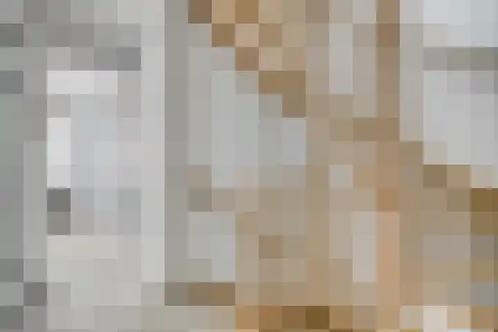 Aan de Capelle 4 Rijkevoort thumbnail 30