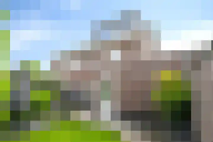Aan de Capelle 4 Rijkevoort thumbnail 37