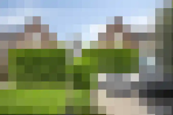 Aan de Capelle 4 Rijkevoort thumbnail 39