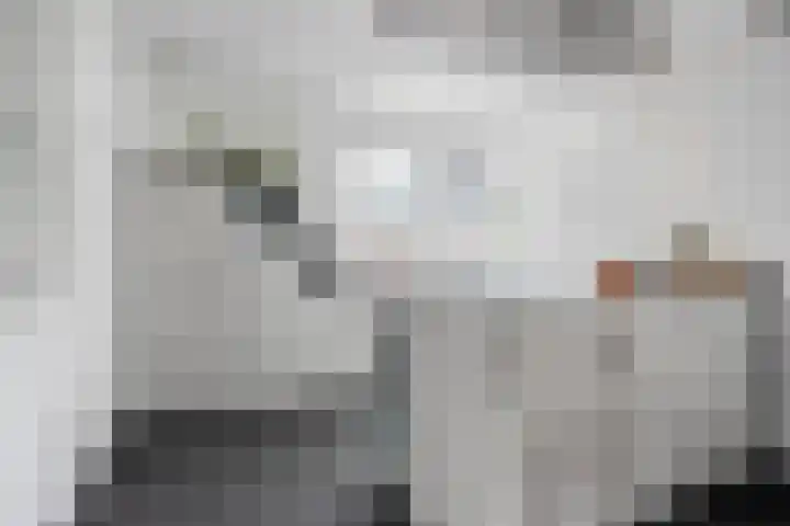 Aan de Capelle 4 Rijkevoort thumbnail 4