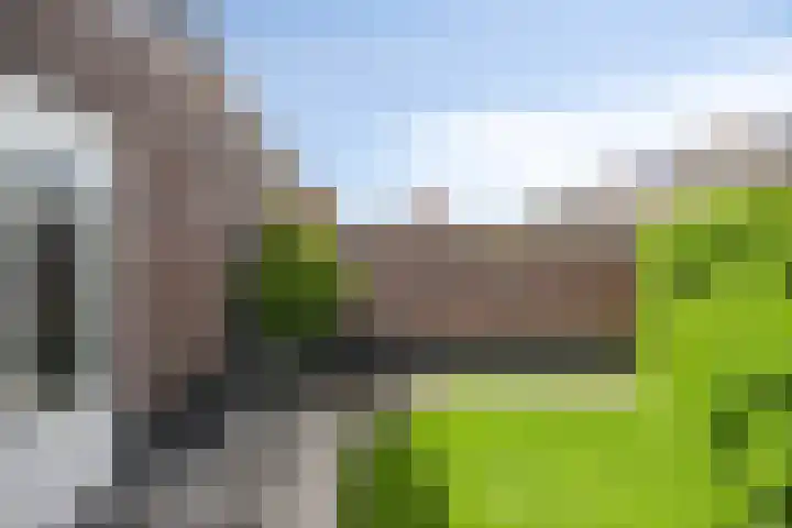 Aan de Capelle 4 Rijkevoort thumbnail 40
