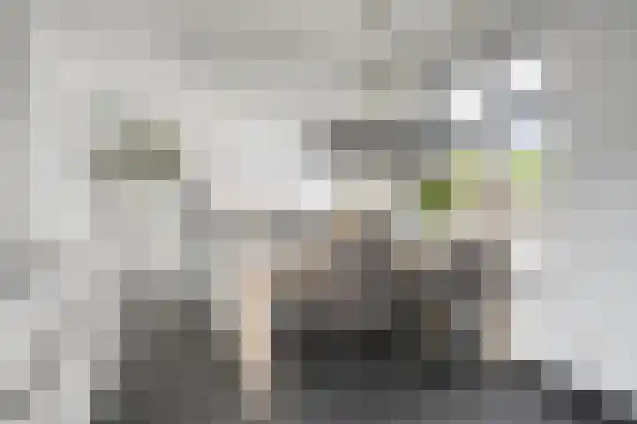 Aan de Capelle 4 Rijkevoort thumbnail 6