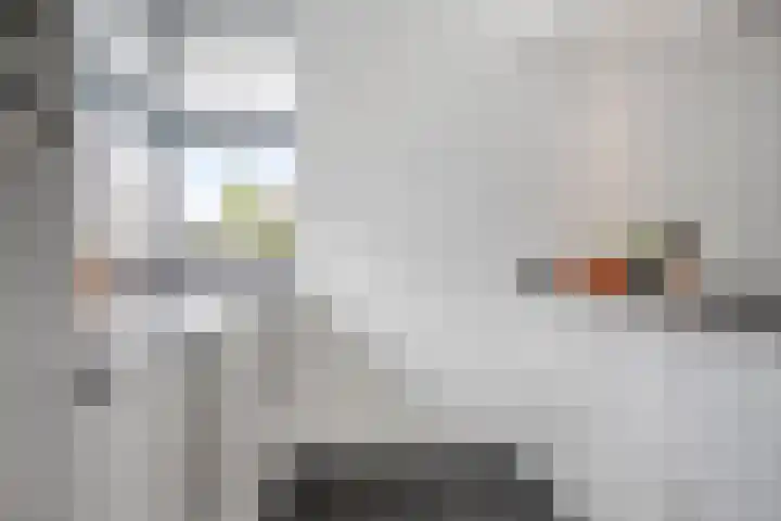 Aan de Capelle 4 Rijkevoort thumbnail 7