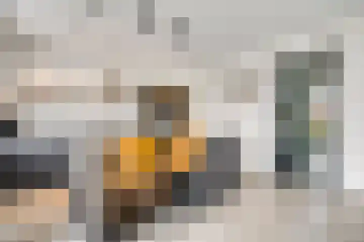 Aan de Dijk 128 Herten thumbnail 11