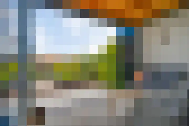 Aan de Dijk 128 Herten thumbnail 18
