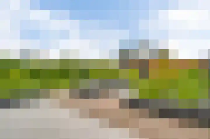 Aan de Dijk 128 Herten thumbnail 19