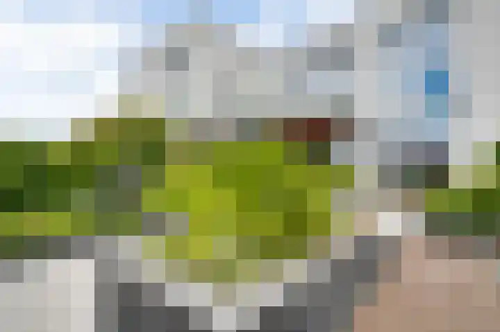 Aan de Dijk 128 Herten thumbnail 21