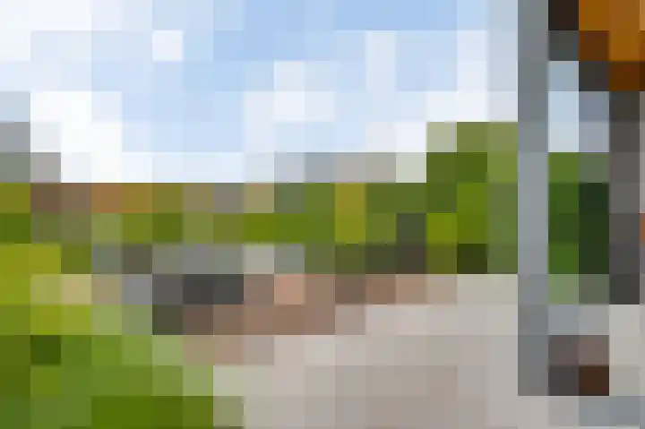 Aan de Dijk 128 Herten thumbnail 22