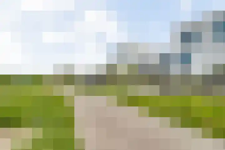 Aan de Dijk 128 Herten thumbnail 23