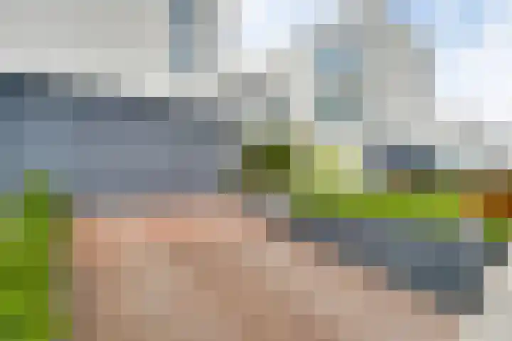 Aan de Dijk 128 Herten foto 3