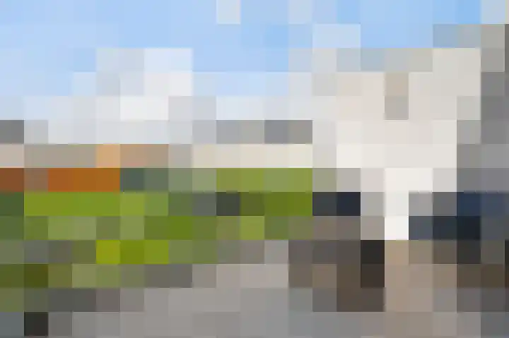 Aan de Dijk 128 Herten thumbnail 30