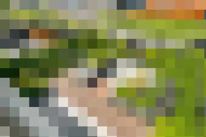 Aan de Dijk 128 Herten thumbnail 31