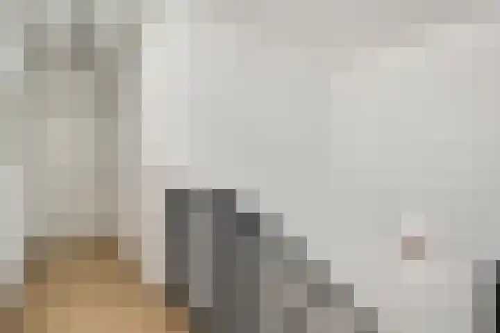 Aan de Dijk 128 Herten thumbnail 37