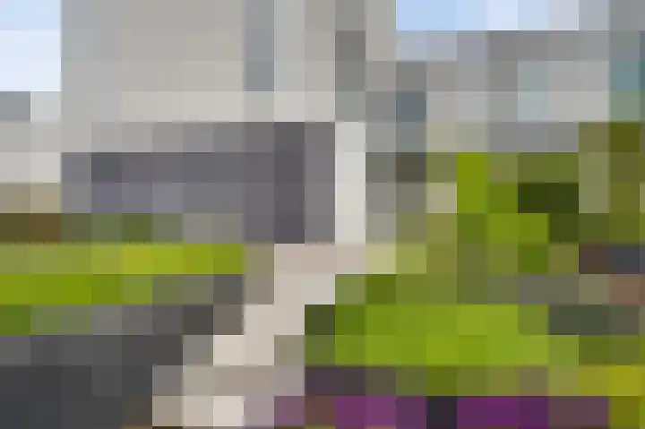 Aan de Dijk 128 Herten thumbnail 4