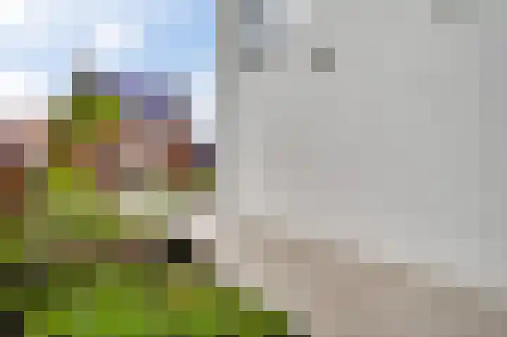 Aan de Dijk 128 Herten thumbnail 5