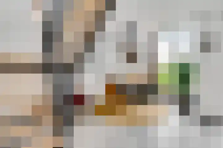 Aan de Dijk 128 Herten thumbnail 8