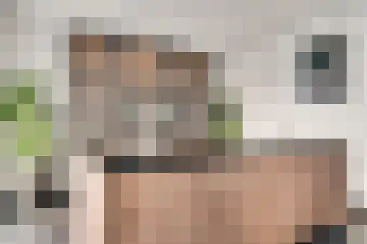 Aan de Dijk 132 Herten thumbnail 10