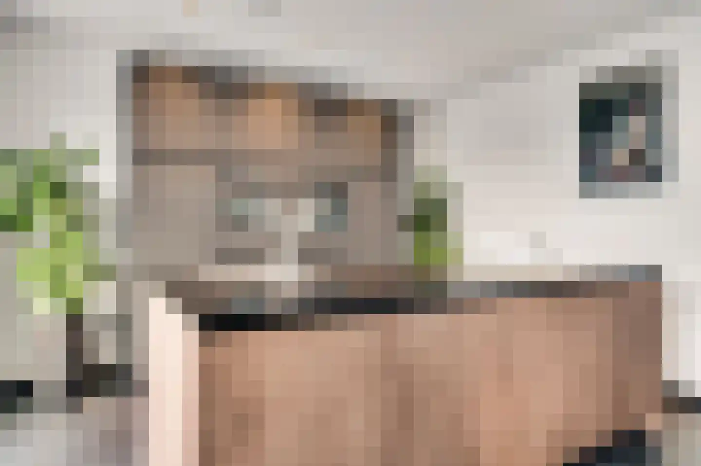 Aan de Dijk 132 Herten thumbnail 10