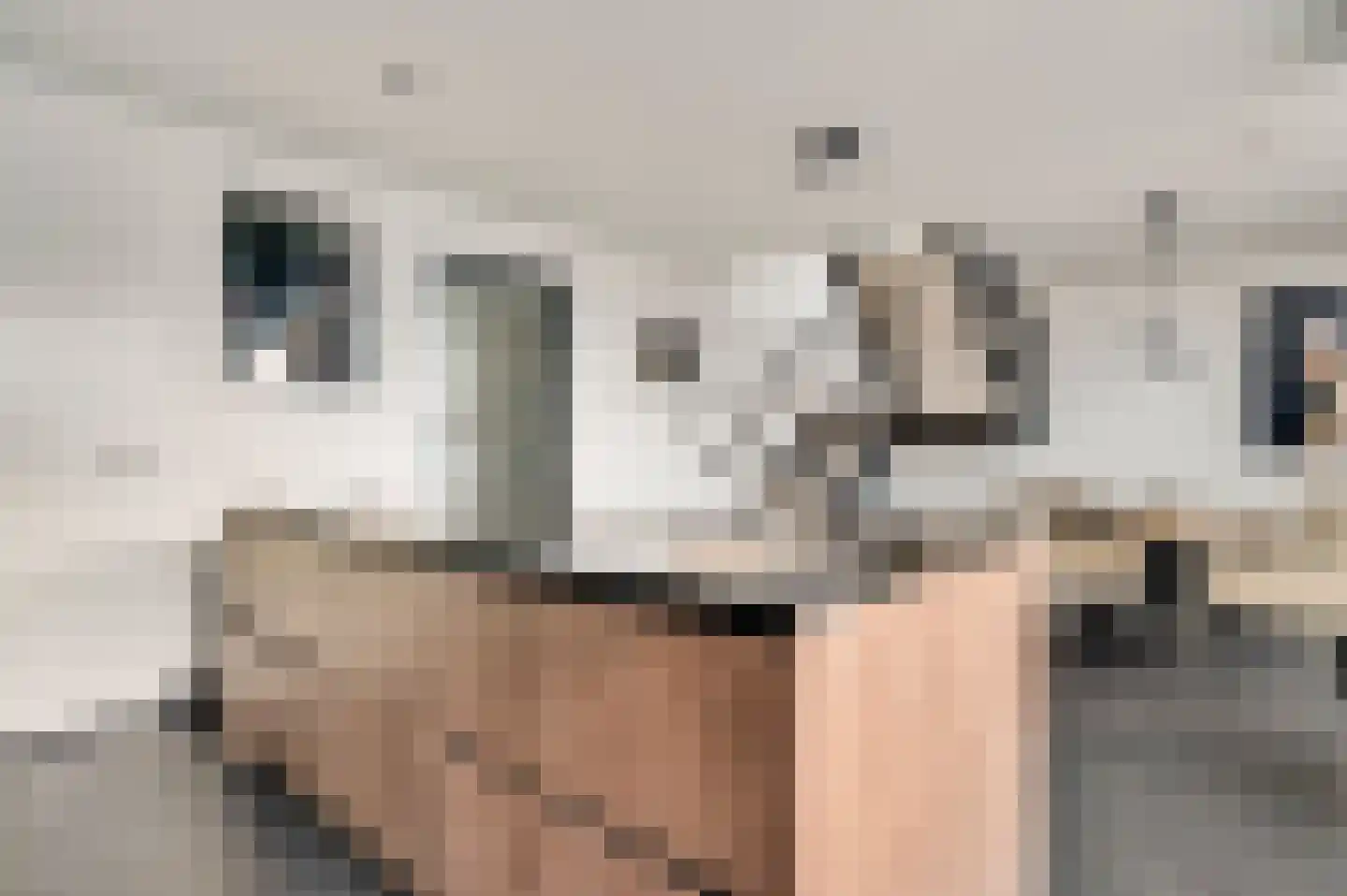 Aan de Dijk 132 Herten thumbnail 11