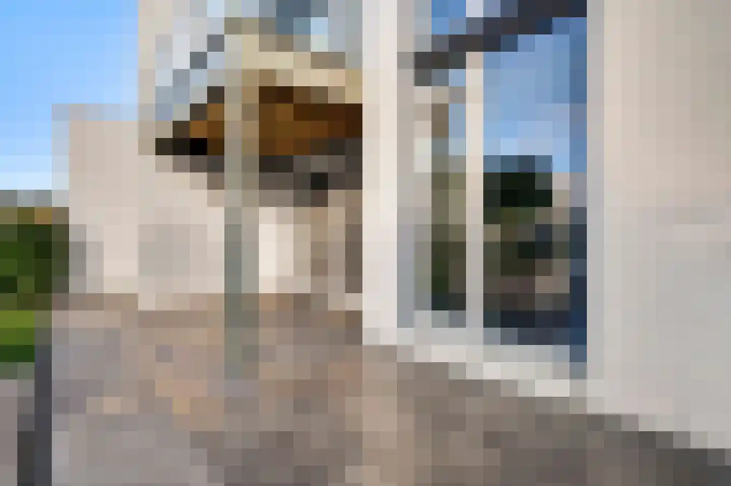Aan de Dijk 132 Herten thumbnail 16