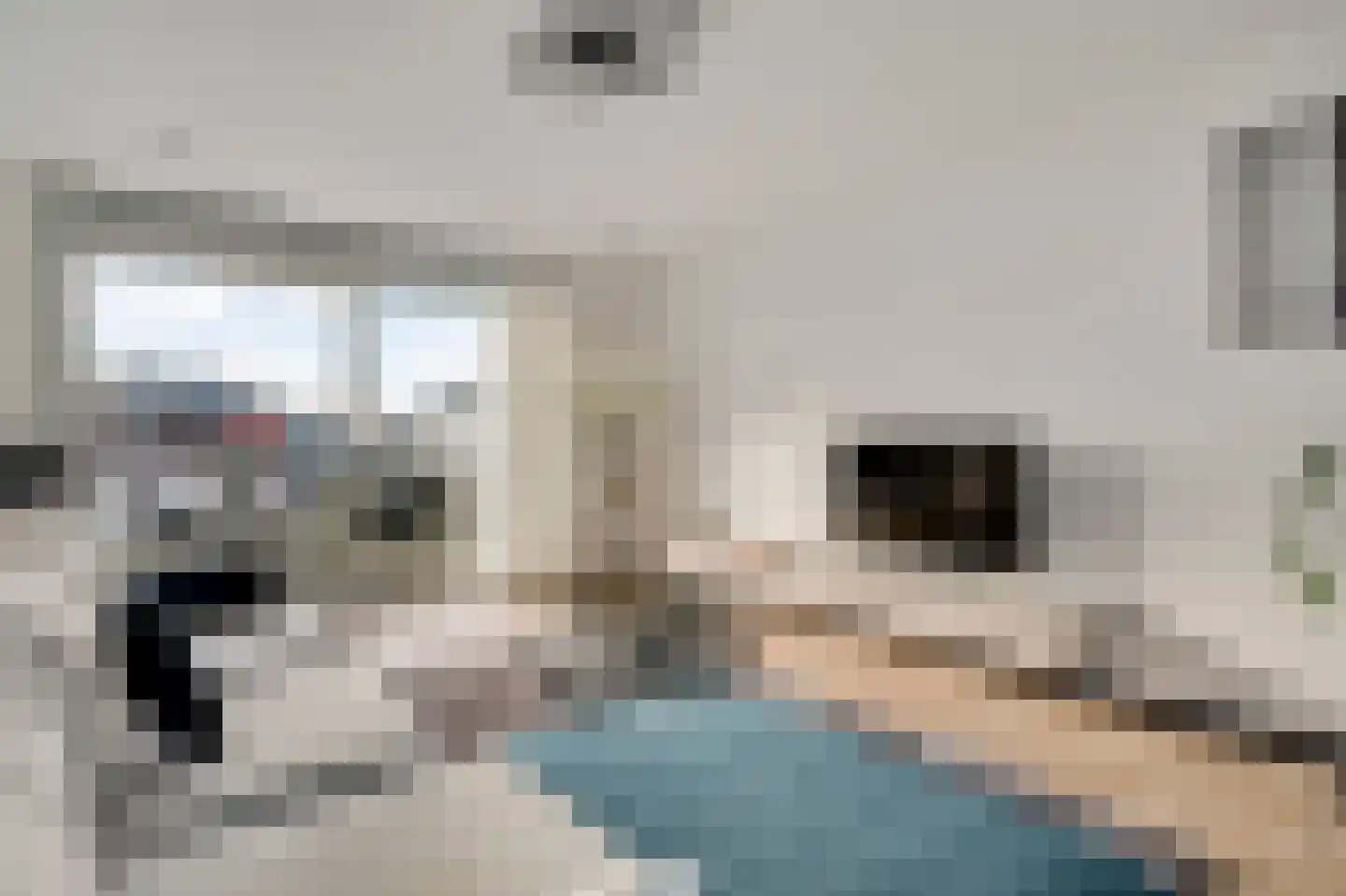 Aan de Dijk 132 Herten thumbnail 21
