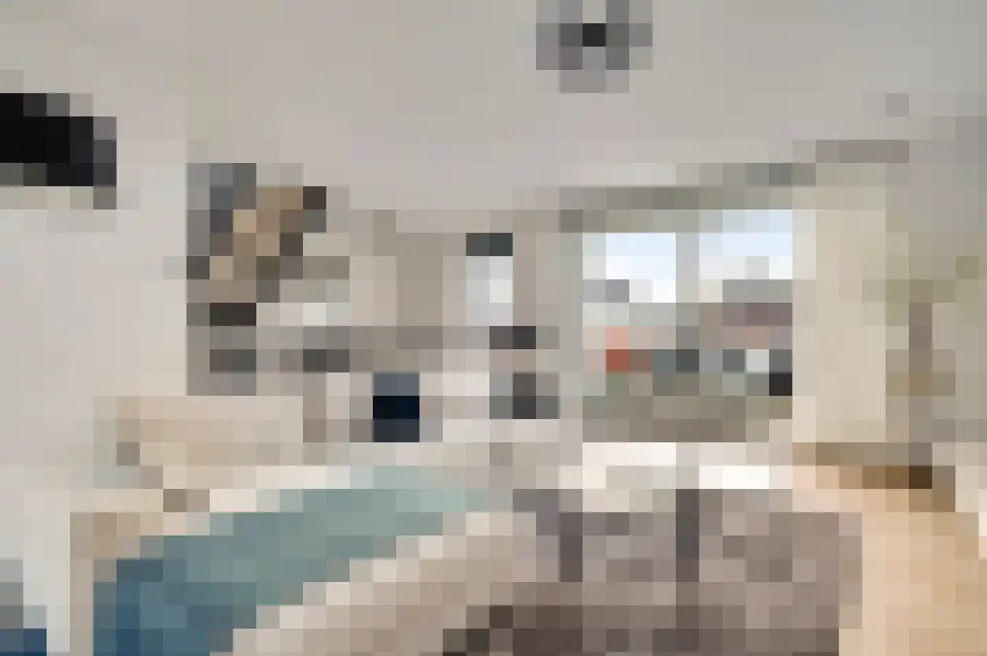 Aan de Dijk 132 Herten thumbnail 22