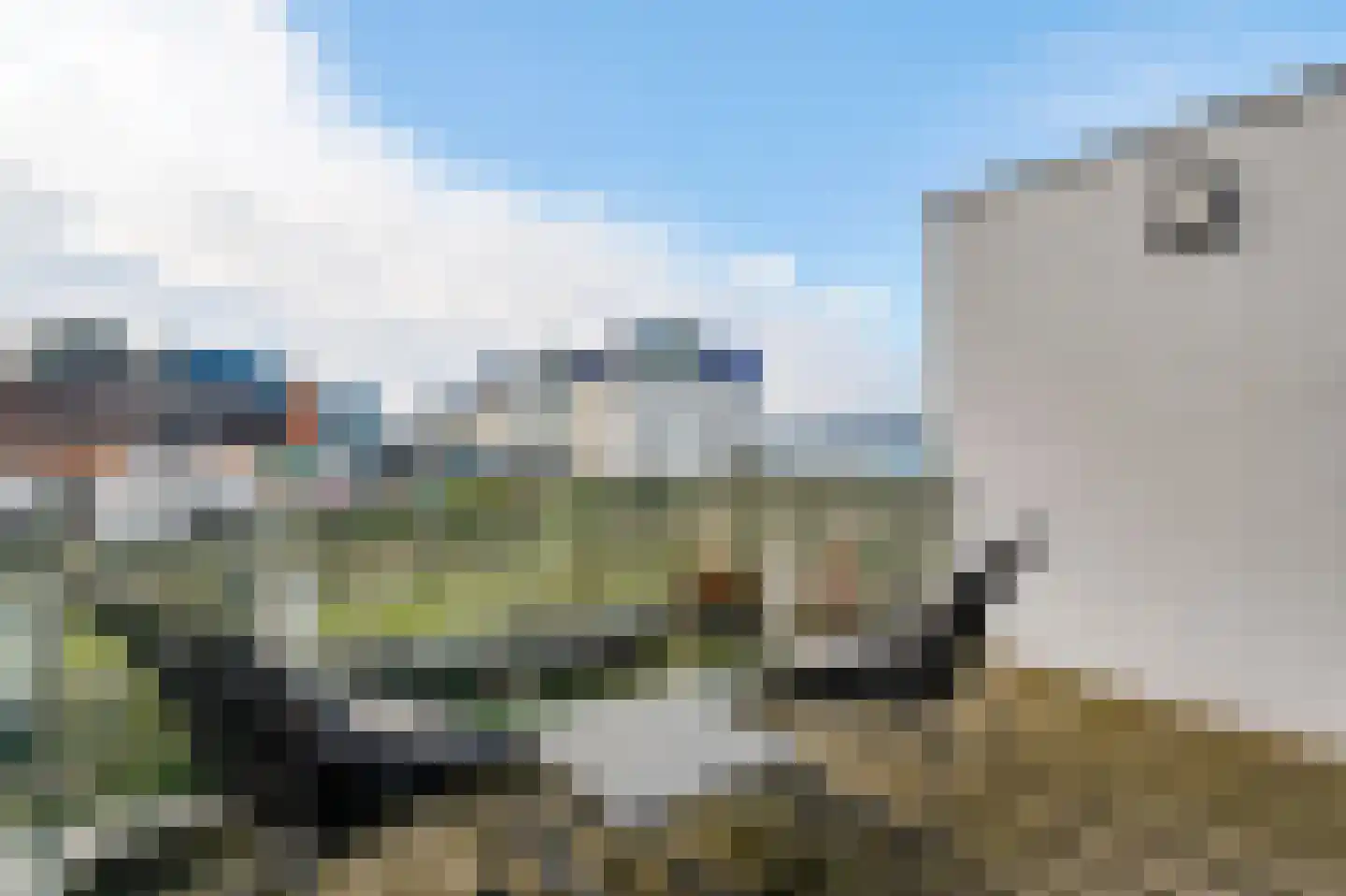 Aan de Dijk 132 Herten thumbnail 27