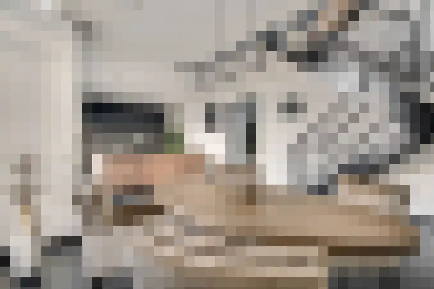 Aan de Dijk 132 Herten thumbnail 9