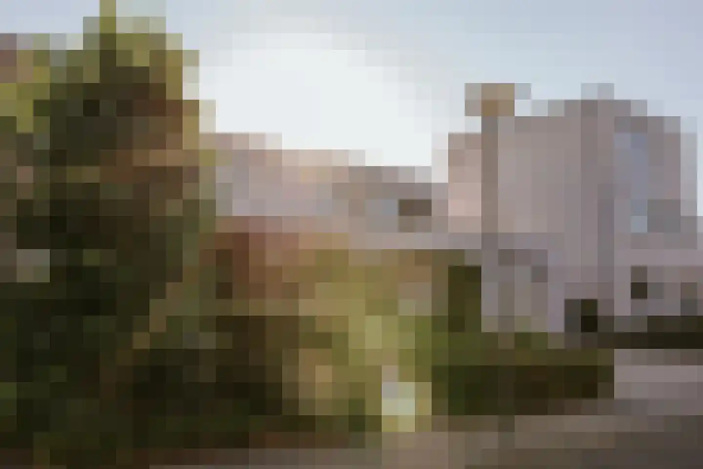 Aan de Dijk 24 Herten thumbnail 11