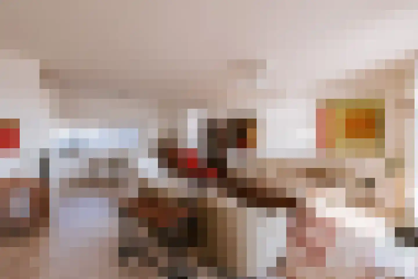 Aan de Dijk 24 Herten thumbnail 17