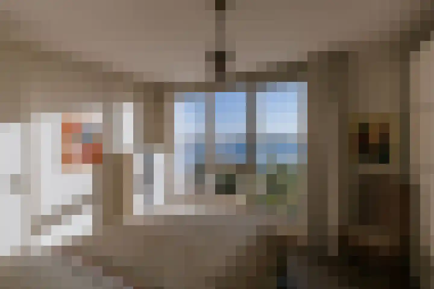 Aan de Dijk 24 Herten thumbnail 33