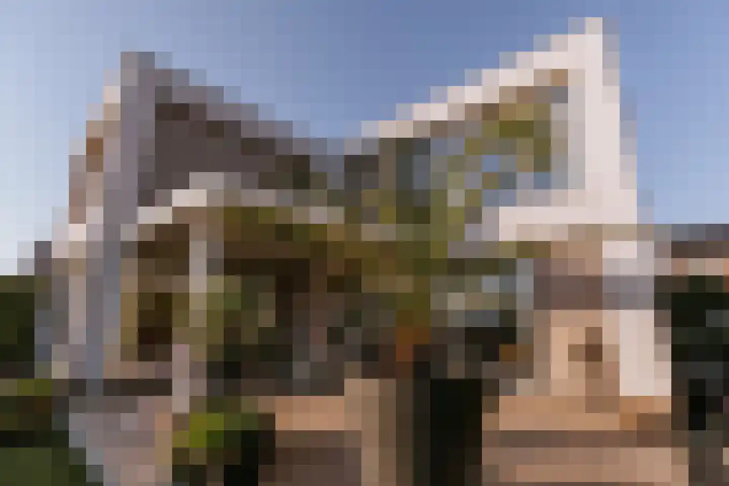 Aan de Dijk 24 Herten thumbnail 42