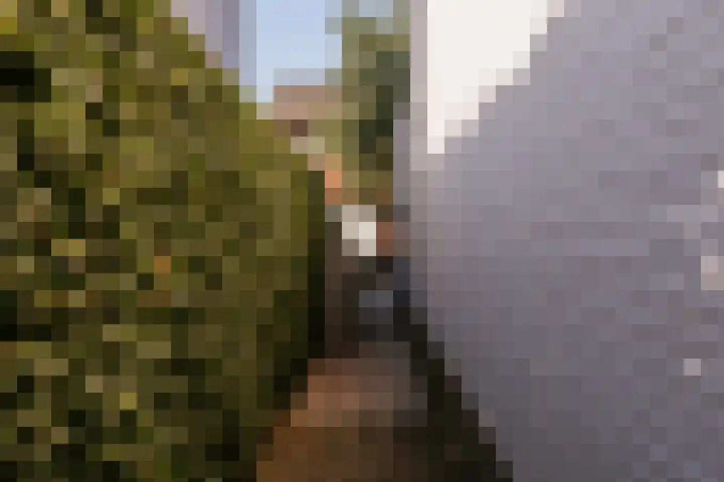 Aan de Dijk 24 Herten thumbnail 45