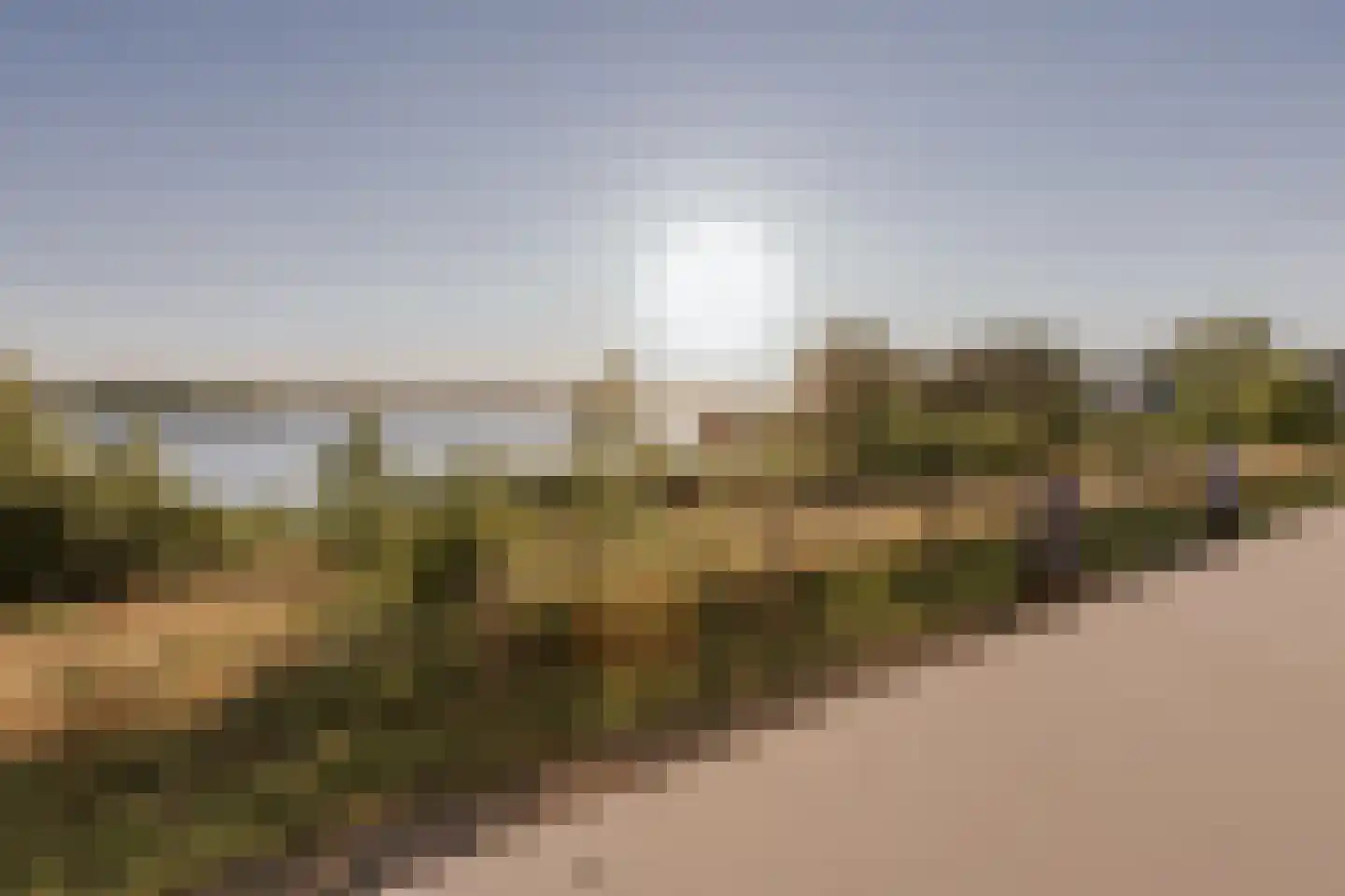 Aan de Dijk 24 Herten thumbnail 46