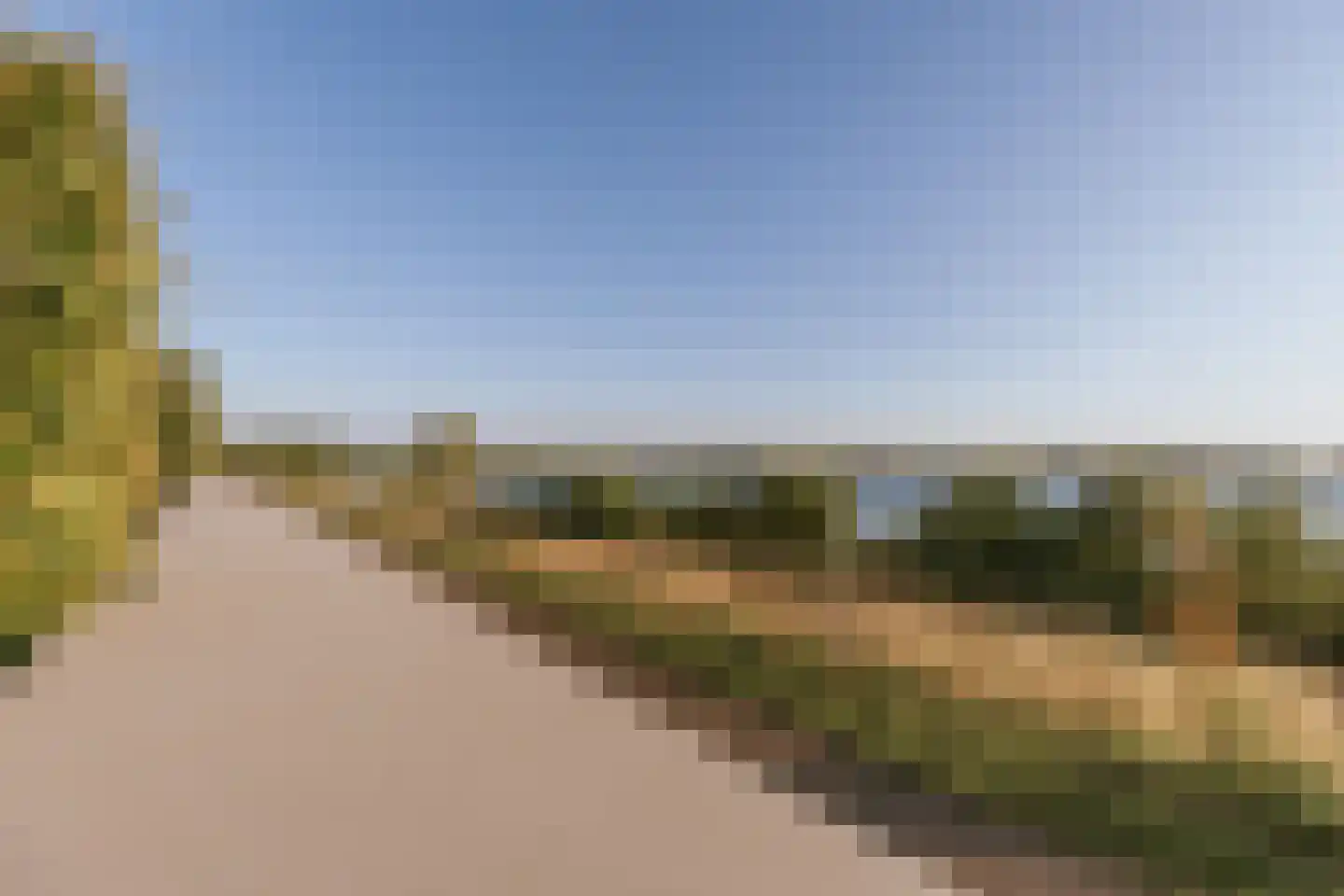 Aan de Dijk 24 Herten thumbnail 47