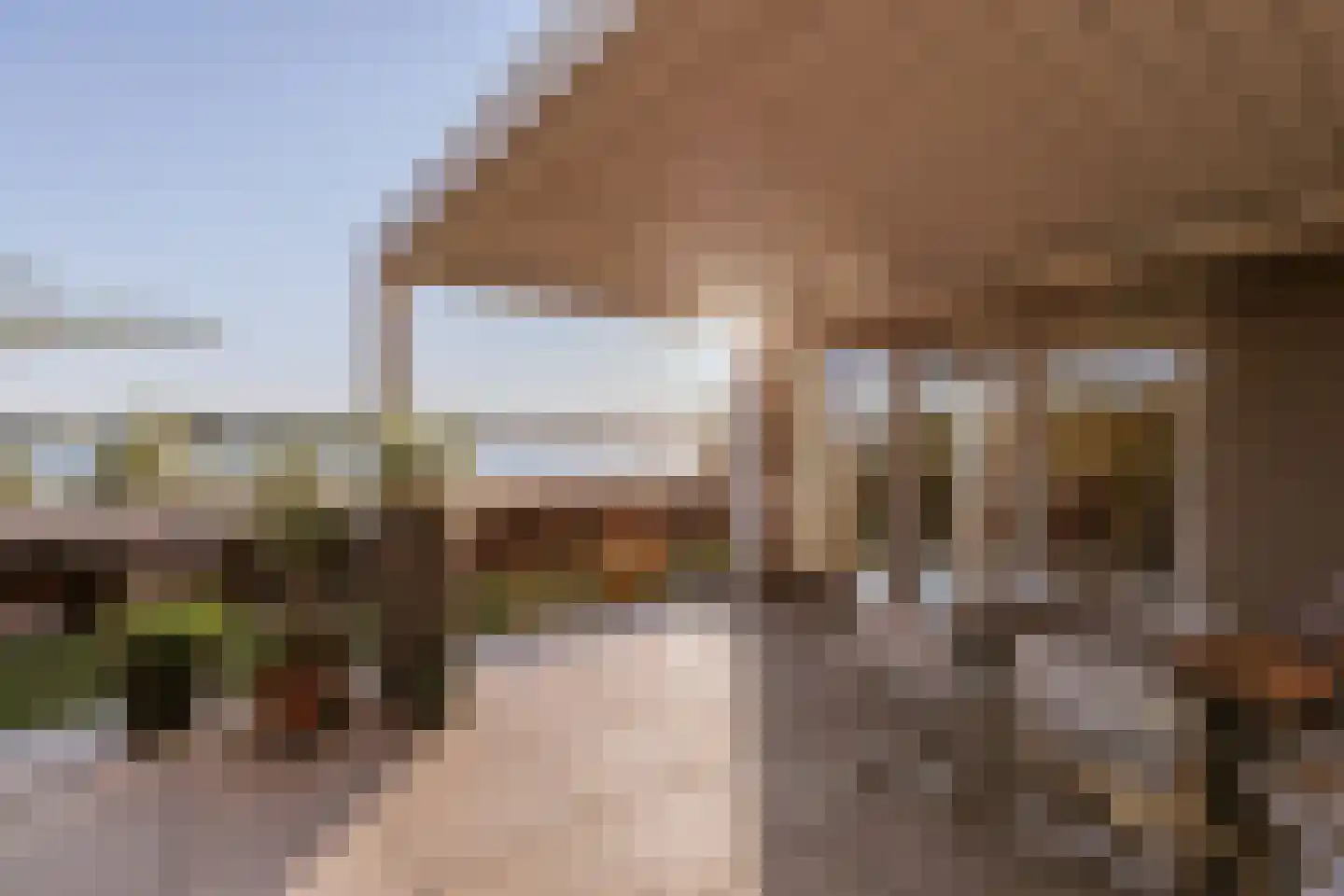 Aan de Dijk 24 Herten thumbnail 9