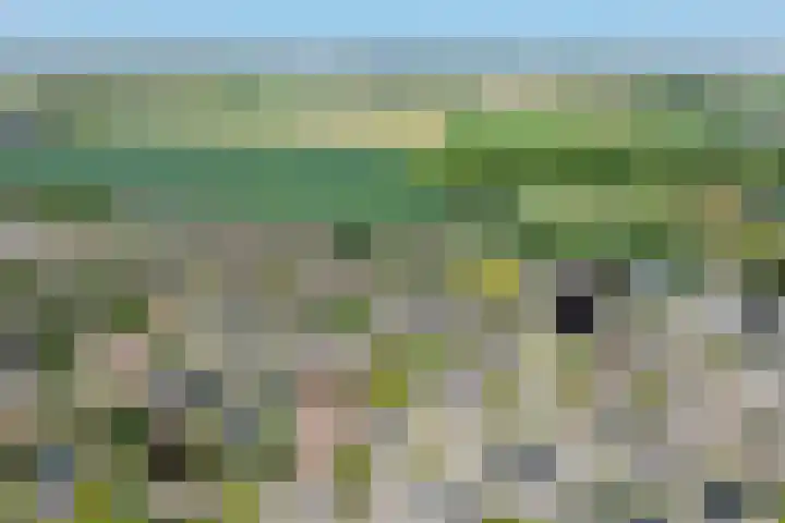 Aan de Dorekoel 35 Hulsberg thumbnail 22