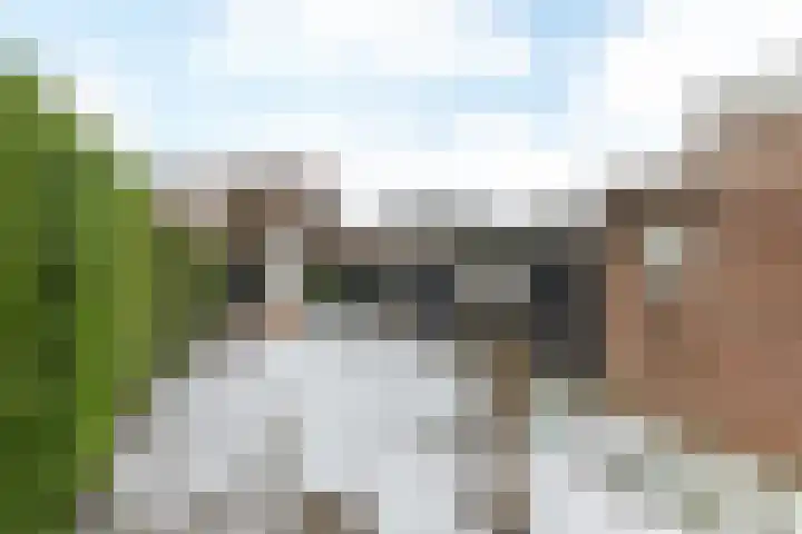 Aan de Dorekoel 41 Hulsberg thumbnail 29
